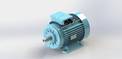 18,50KW 750D/D 400V 50Hz IP 55 IE2 
B3 FOOTED CAST IRON MOTOR